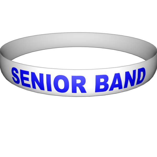 SeniorBand